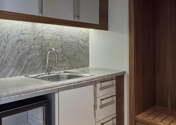 Concorde Tower & Casino 酒店 尼科西亚